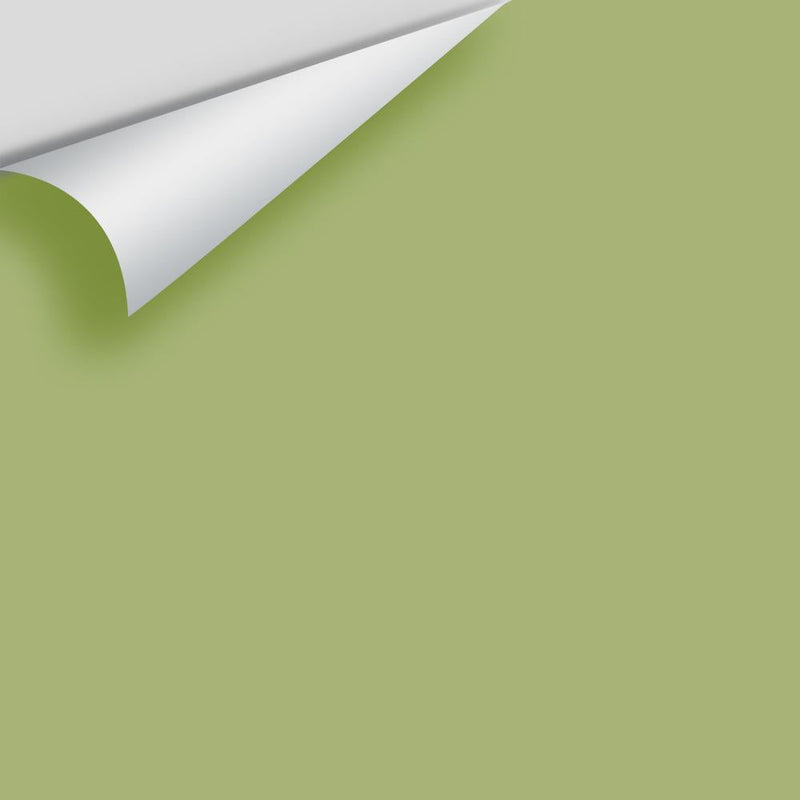 Benjamin Moore - Vienna Green 538 Peel & Stick Color Sample