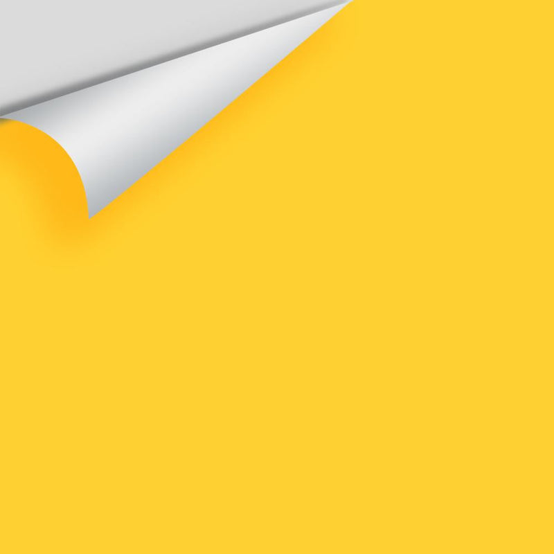 Benjamin Moore - Viking Yellow 321 Peel & Stick Color Sample