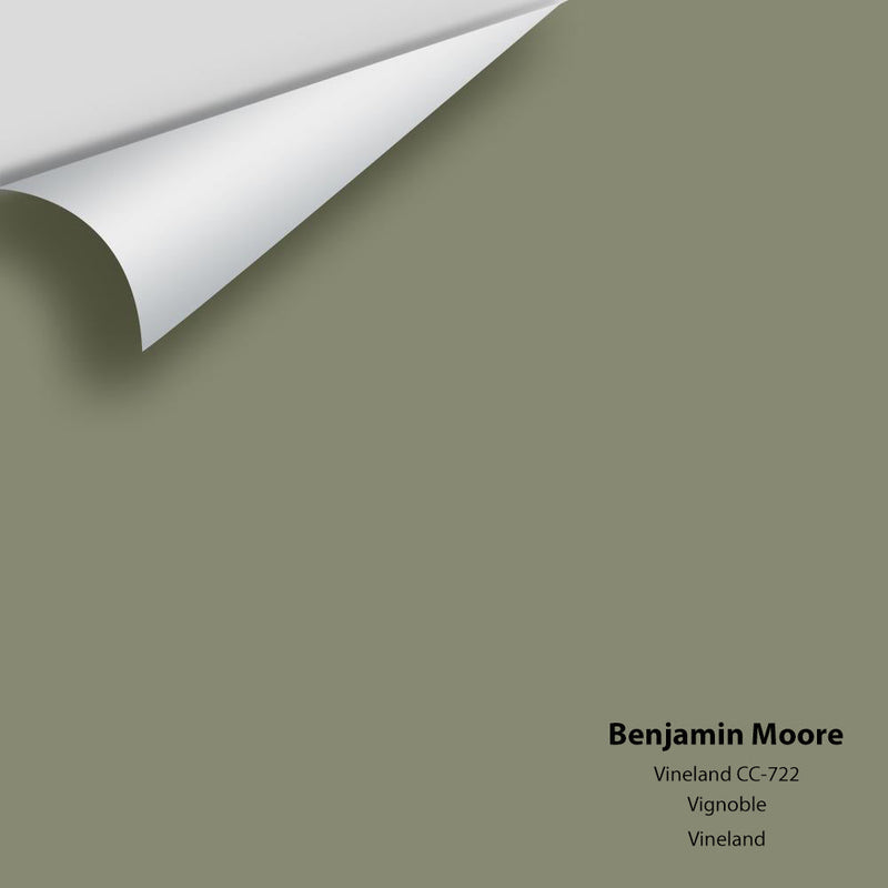 Benjamin Moore - Vineland CC-722 Peel & Stick Color Sample
