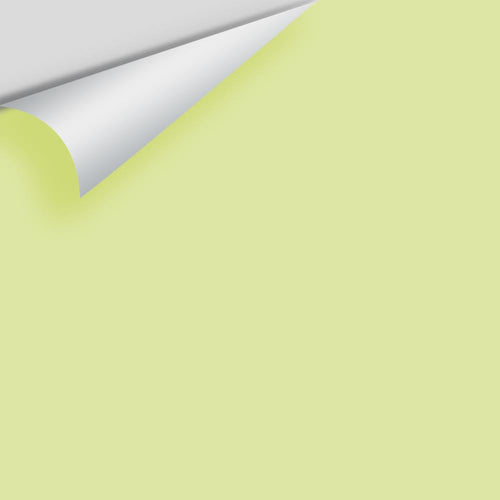 Benjamin Moore - Wales Green 2028-50 Peel & Stick Color Sample