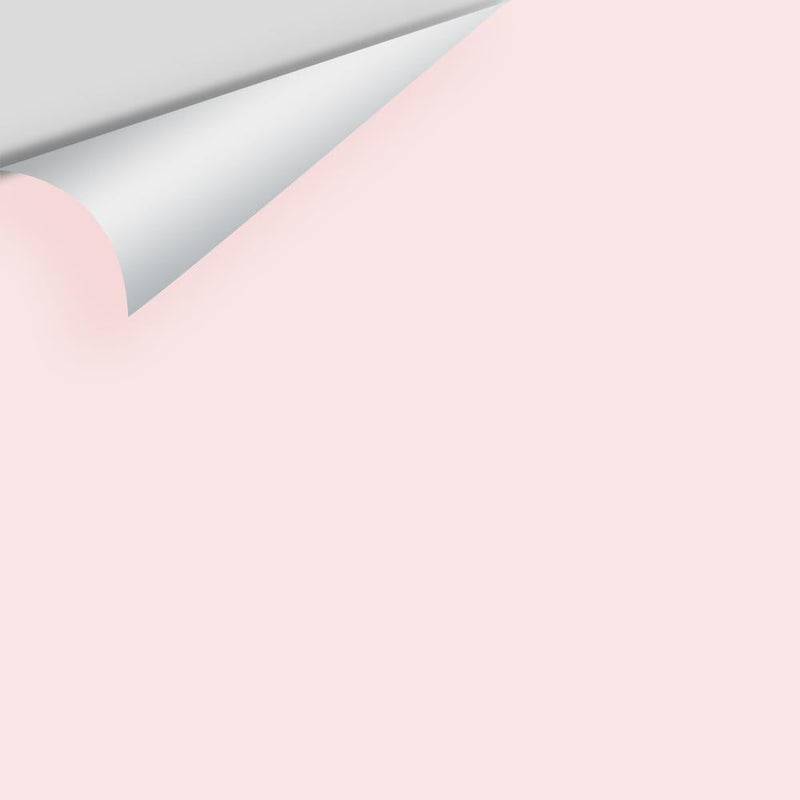Benjamin Moore - Wispy Pink 2005-70 Peel & Stick Color Sample