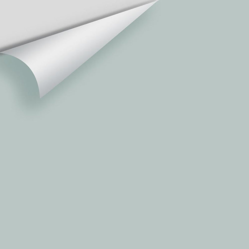 Benjamin Moore - Wales Gray 1585 Peel & Stick Color Sample