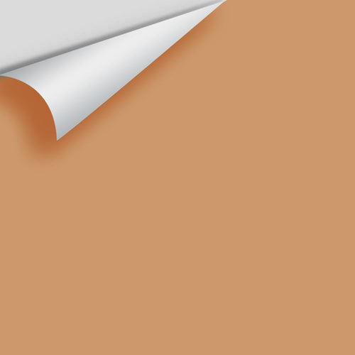 Benjamin Moore - Warm Sunglow CSP-1070 Peel & Stick Color Sample