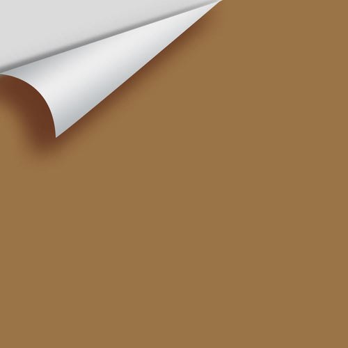 Benjamin Moore - Warm Tan 2162-30 Peel & Stick Color Sample