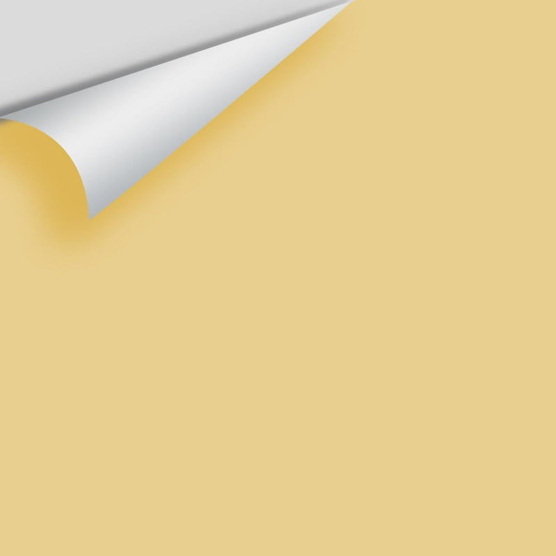 Benjamin Moore - Westminster Gold 200 Peel & Stick Color Sample