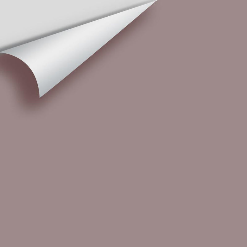 Benjamin Moore - Wet Concrete 2114-40 Peel & Stick Color Sample