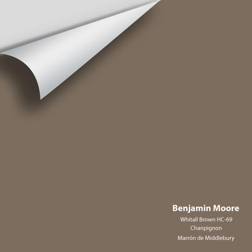Benjamin Moore - Whitall Brown HC-69 Peel & Stick Color Sample