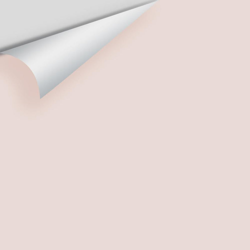 Benjamin Moore - Wild Aster 1240 Peel & Stick Color Sample