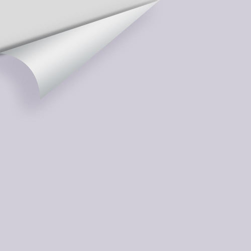 Benjamin Moore - Winter Gray 2117-60 Peel & Stick Color Sample