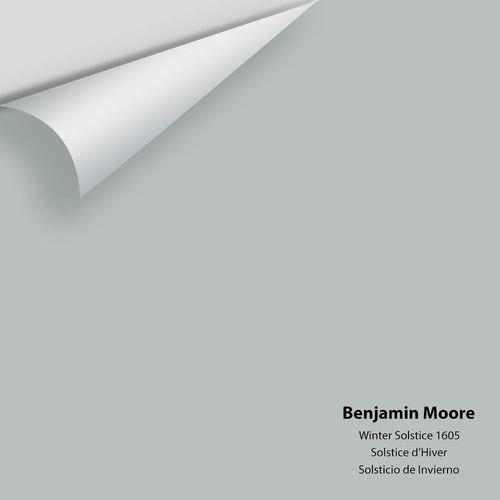 Benjamin Moore - Winter Solstice 1605 Peel & Stick Color Sample