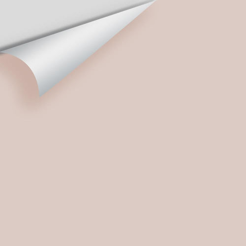 Benjamin Moore - Wisp Of Mauve 2098-60 Peel & Stick Color Sample