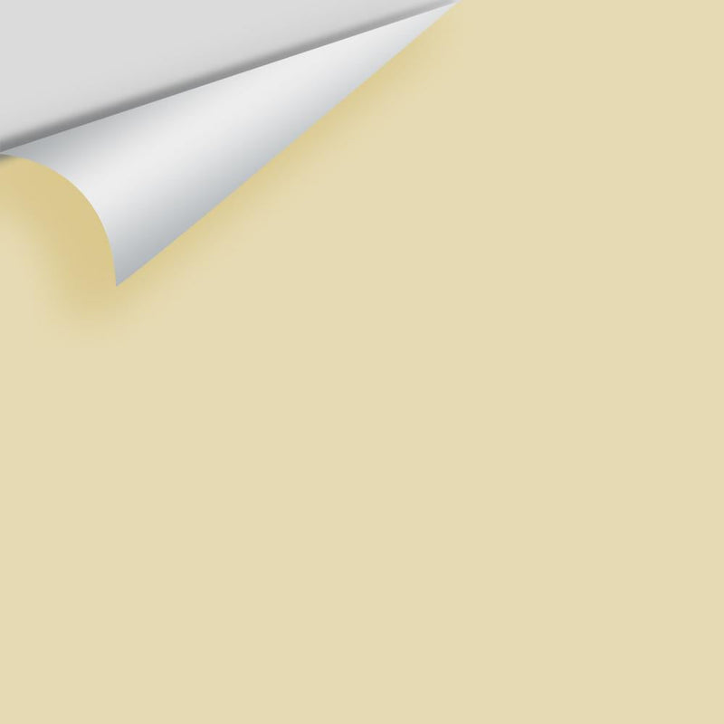 Benjamin Moore - Woven Jacquard 254 Peel & Stick Color Sample