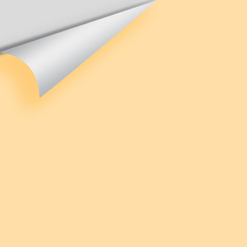 Benjamin Moore - Yellow Haze 2017-50 Peel & Stick Color Sample