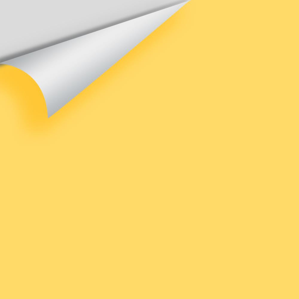 The Color House Benjamin Moore Peel & Stick Paint Samples