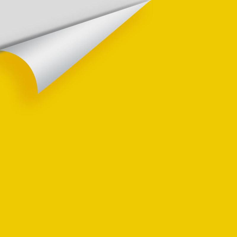 Benjamin Moore - Yolk 2023-10 Peel & Stick Color Sample