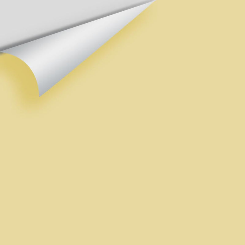 Benjamin Moore - Yellow Clover 375 Peel & Stick Color Sample