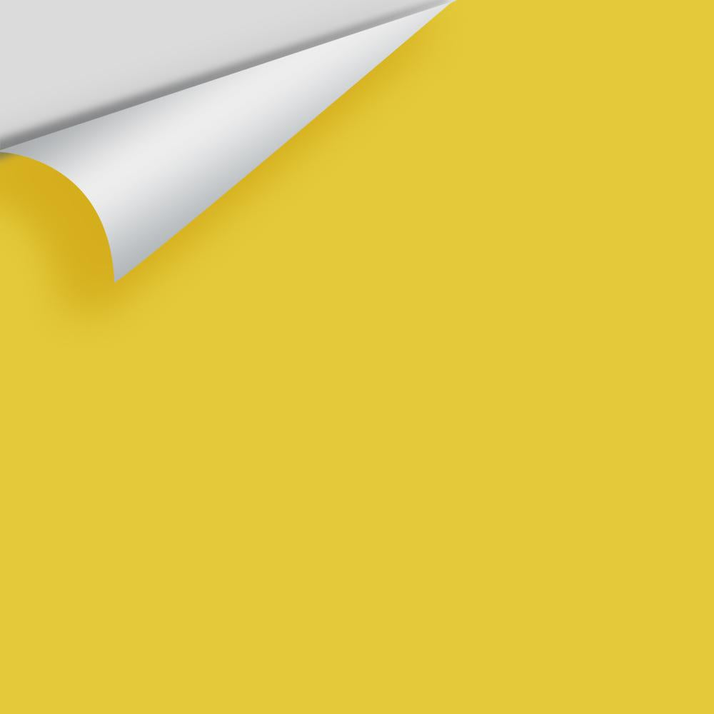 The Color House Benjamin Moore Peel & Stick Paint Samples thecolorhouse