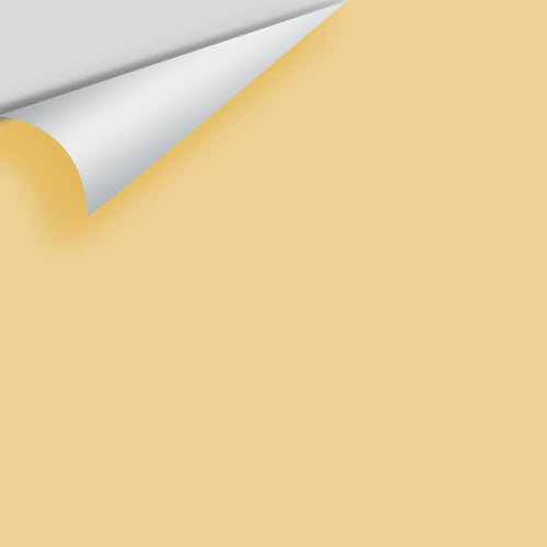 Benjamin Moore - Yellow Topaz CSP-945 Peel & Stick Color Sample