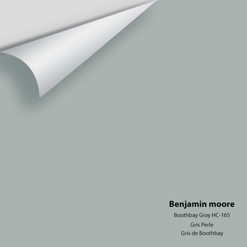 Benjamin Moore - Boothbay Gray HC-165 Peel & Stick Color Sample