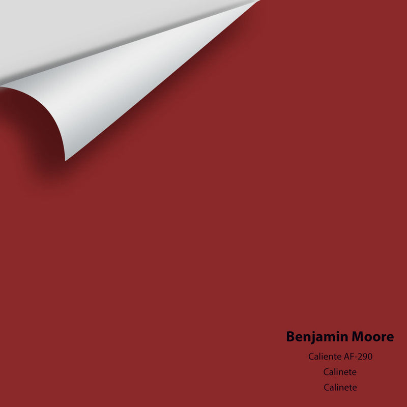 Benjamin Moore - Caliente AF-290 Peel & Stick Color Sample