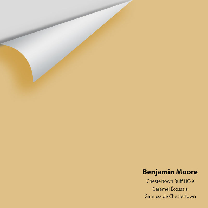 Benjamin Moore - Chestertown Buff HC-9 Peel & Stick Color Sample