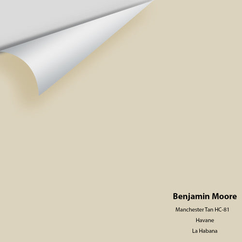 Benjamin Moore - Manchester Tan HC-81 Peel & Stick Color Sample