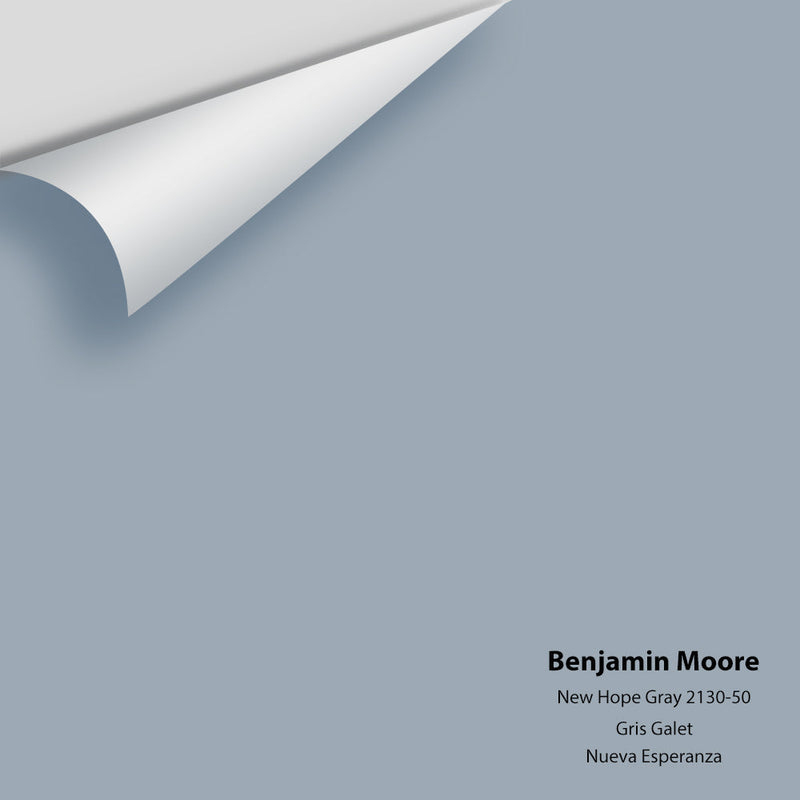 Benjamin Moore - New Hope Gray 2130-50 Peel & Stick Color Sample