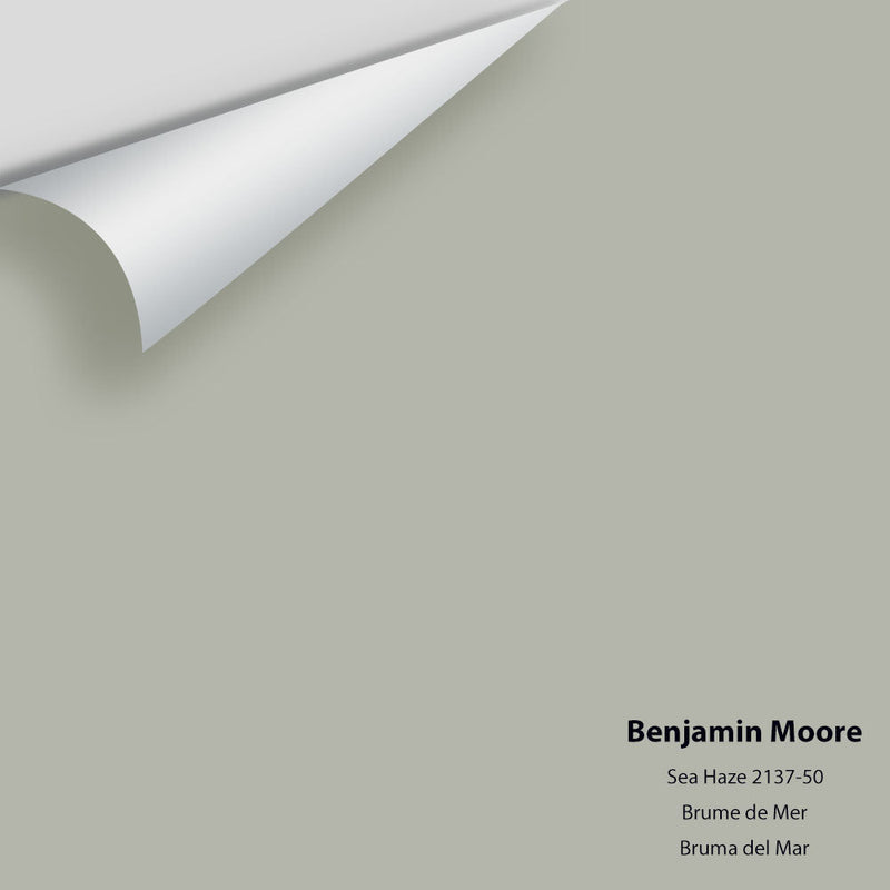 Benjamin Moore - Sea Haze 2137-50 Peel & Stick Color Sample