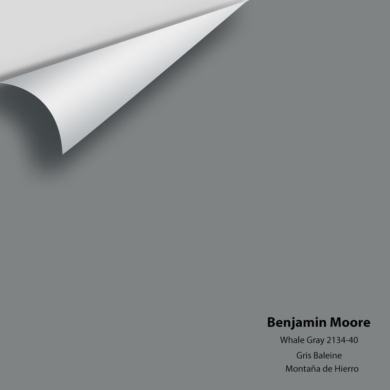 Benjamin Moore - Whale Gray 2134-40 Peel & Stick Color Sample