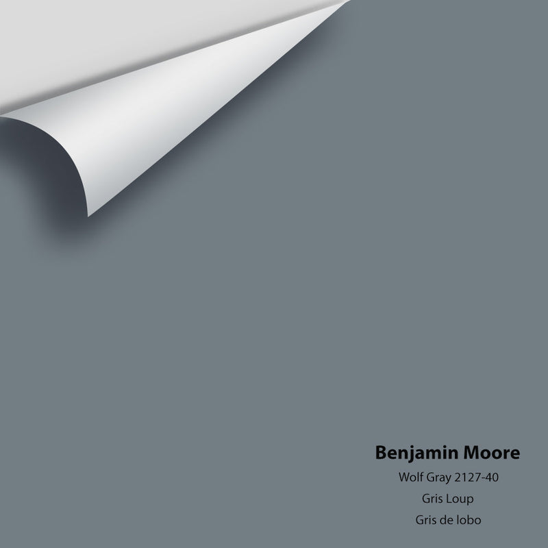 Benjamin Moore - Wolf Gray 2127-40 Peel & Stick Color Sample