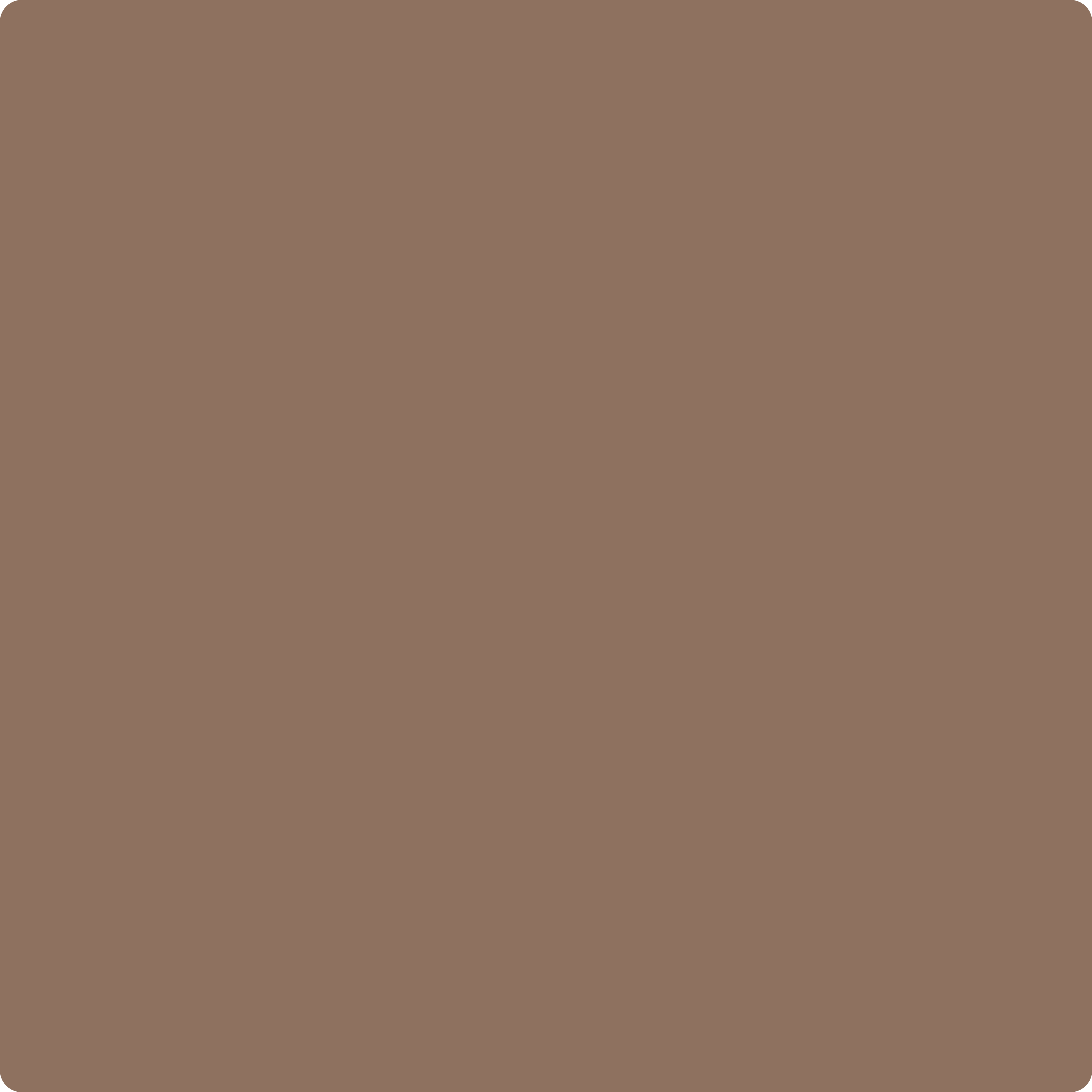 Benjamin Moore's AF-160 Carob | The Color House