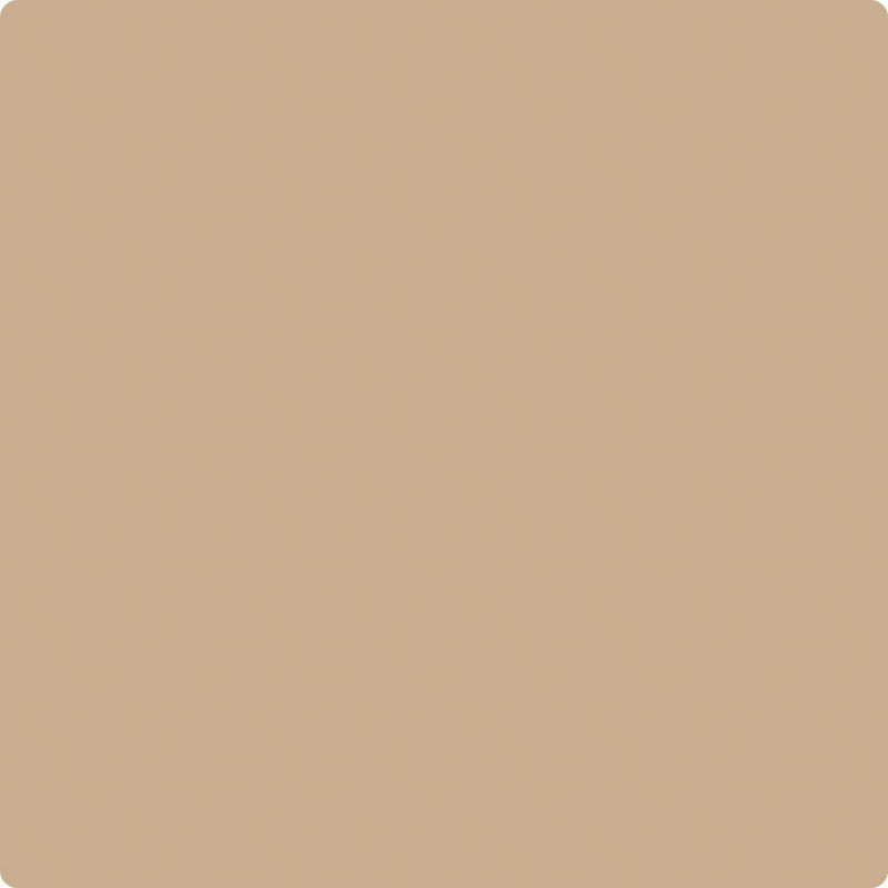 Benjamin Moore Color CC-488 Biscotti