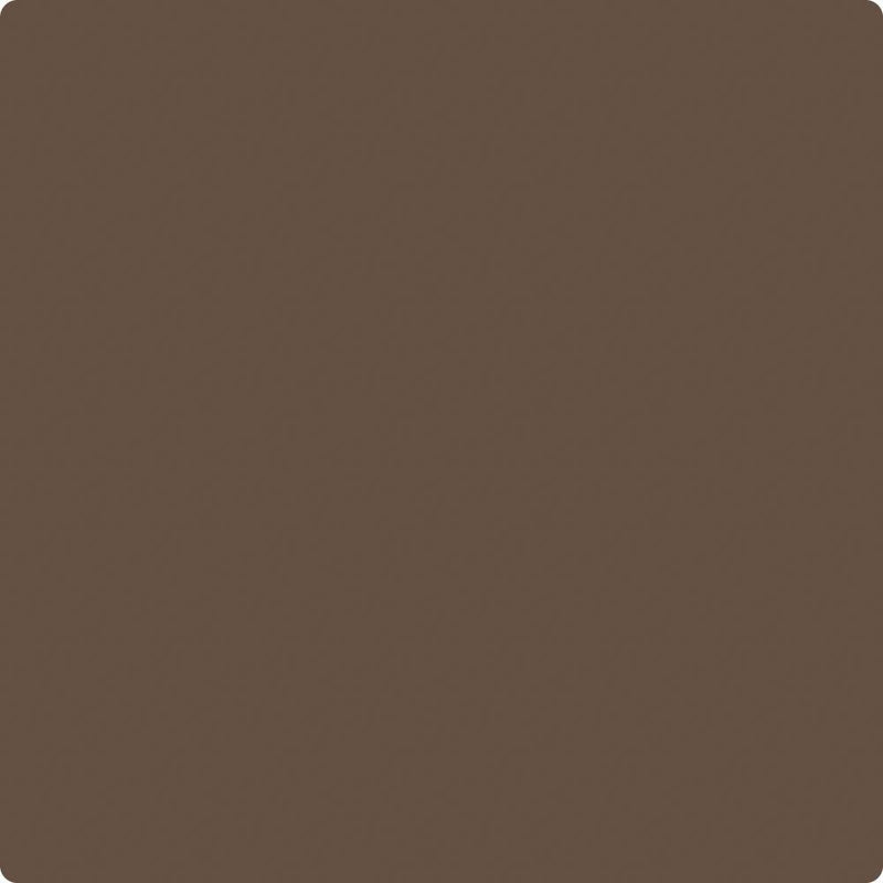 Benjamin Moore Colour CSP-270 Dark Chocolate