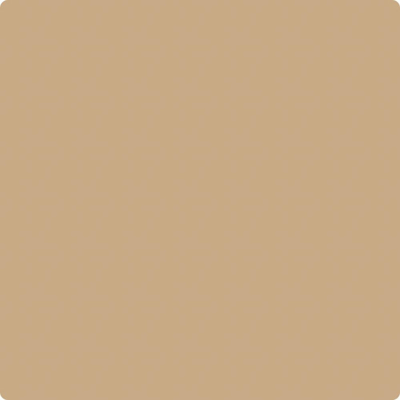 Benjamin Moore Colour CSP-285 Camel Hair