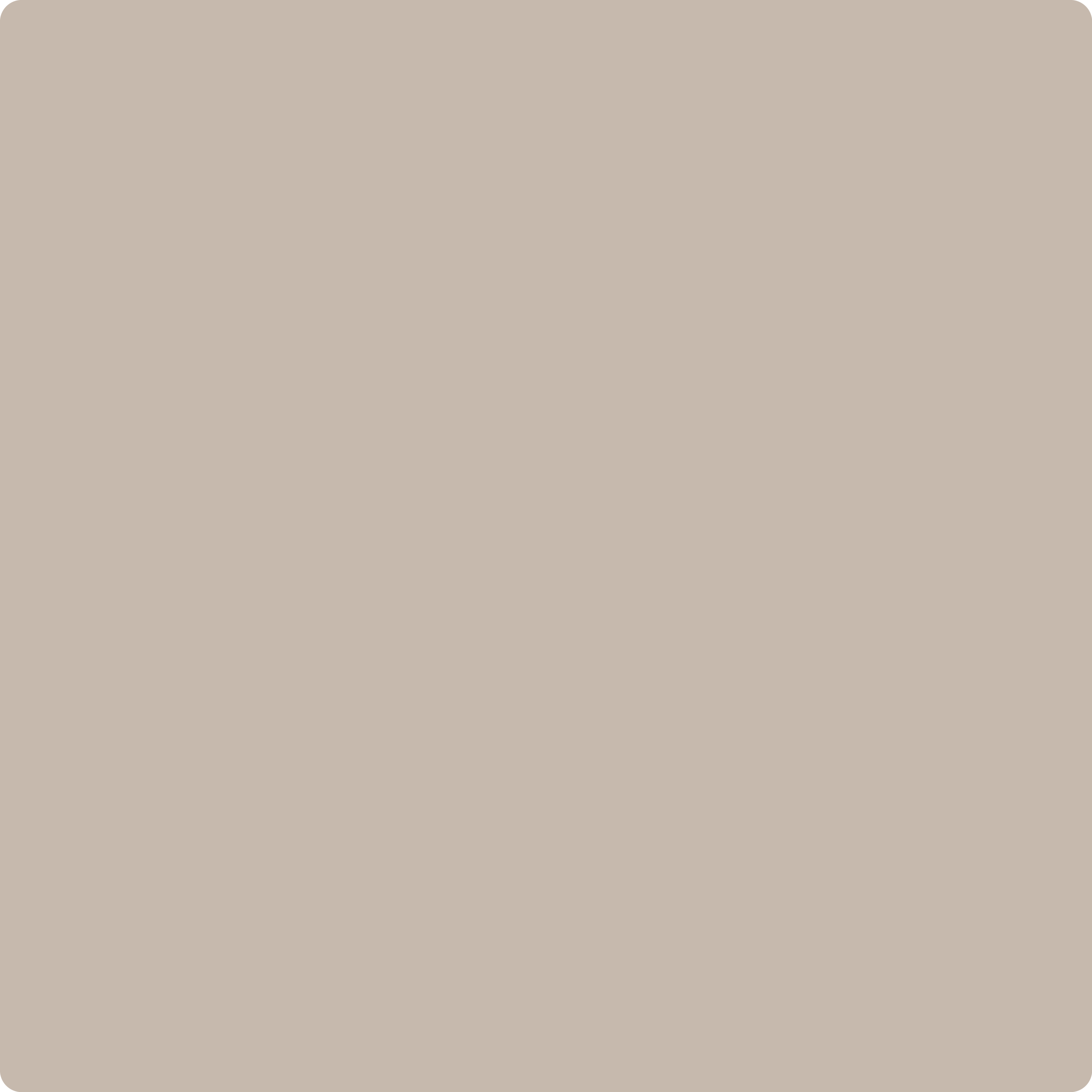 Benjamin Moore CSP-405 Knitting Basket| The Color House